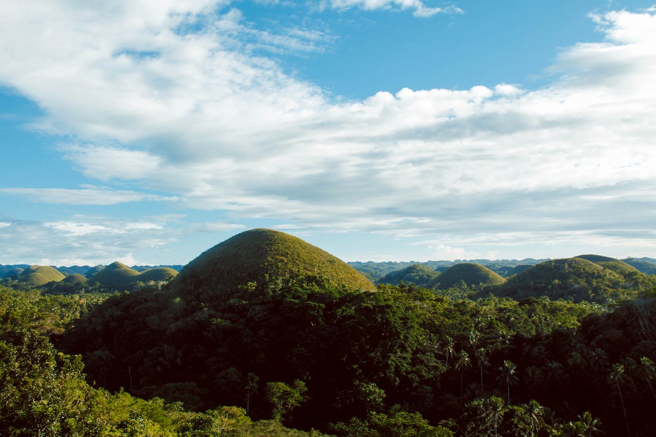 Scenic View of Hills Surrounded By Trees